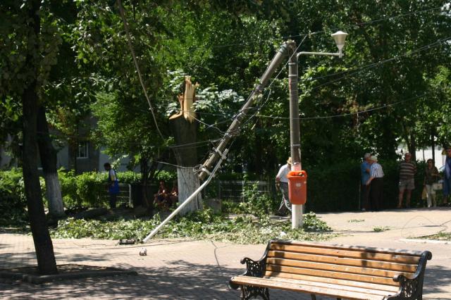 Stâlpii şi copacii doborâţi de furtună sunt lăsaţi de Primărie să dospească la soare