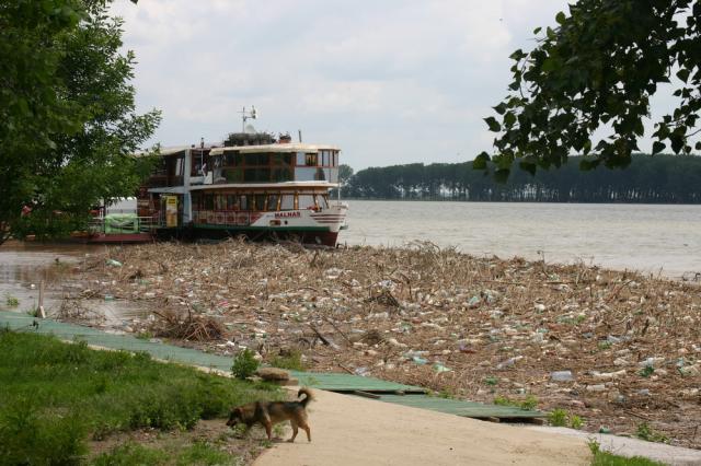 Malul Dunării a ajuns depozit de gunoaie pentru că Apele Române uită să îşi facă datoria   
