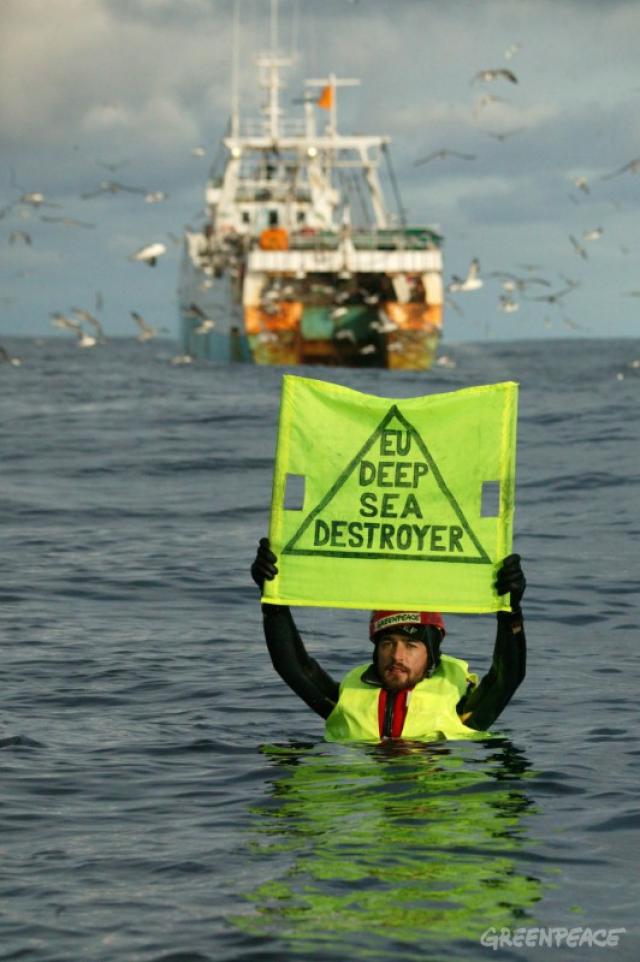 Greenpeace amplasează un stand informativ în Galați