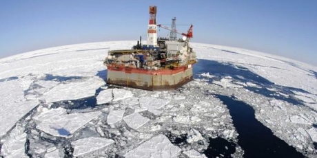 Arctica este în pericol